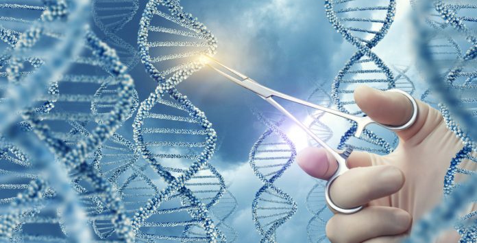 Perdita dell’udito ereditaria: prospettive incoraggianti per la terapia genica